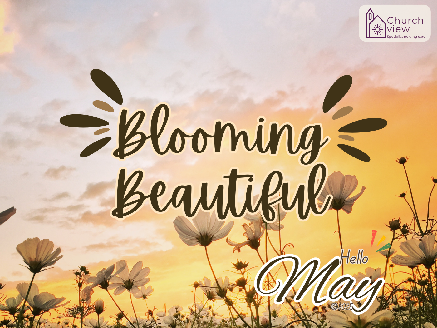 Blooming Beautiful