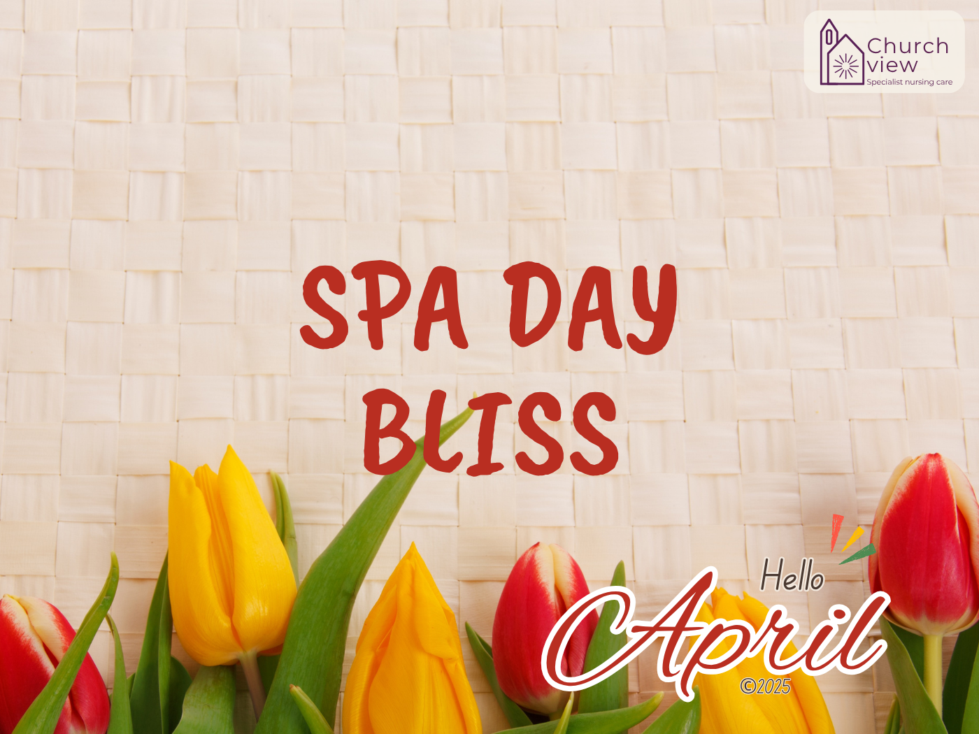 Spa Day Bliss