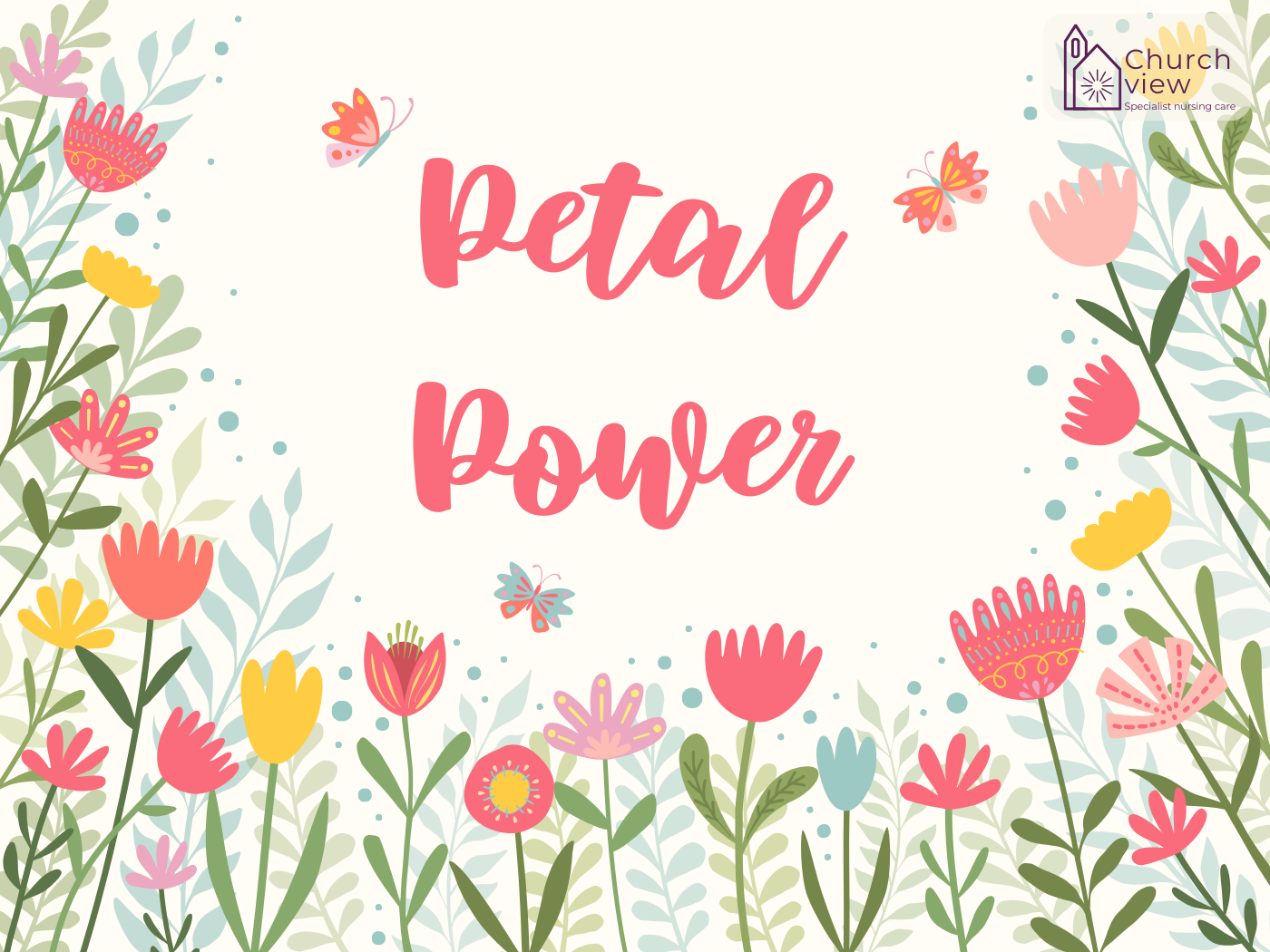 Remembrance Day(2024)